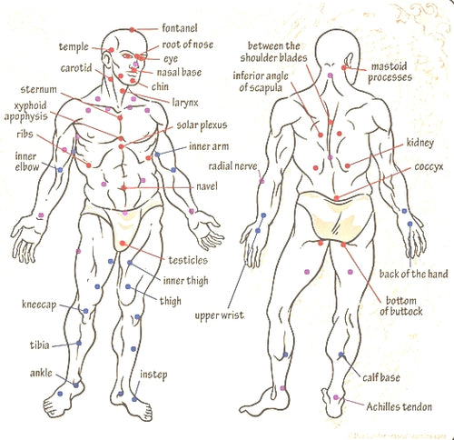 Pressure Points for Self-Defense - Hypnotic Program